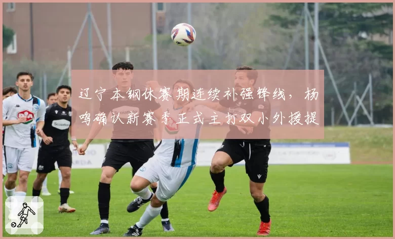 辽宁本钢休赛期连续补强锋线，杨鸣确认新赛季正式主打双小外援提速体系__br_