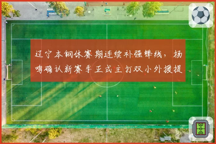 辽宁本钢休赛期连续补强锋线，杨鸣确认新赛季正式主打双小外援提速体系__br_